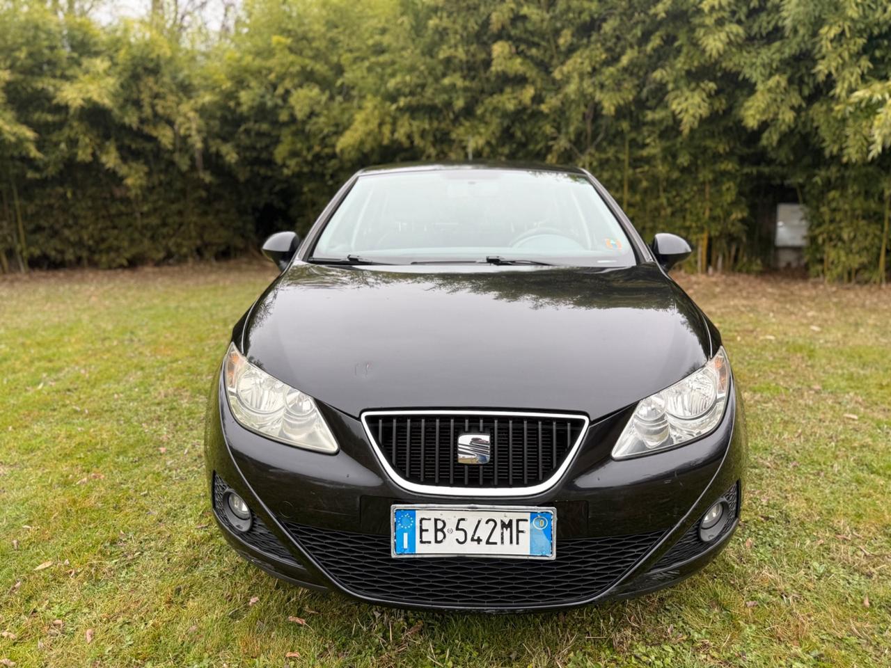 Seat Ibiza 1.6 TDI CR DPF 5 porte Style