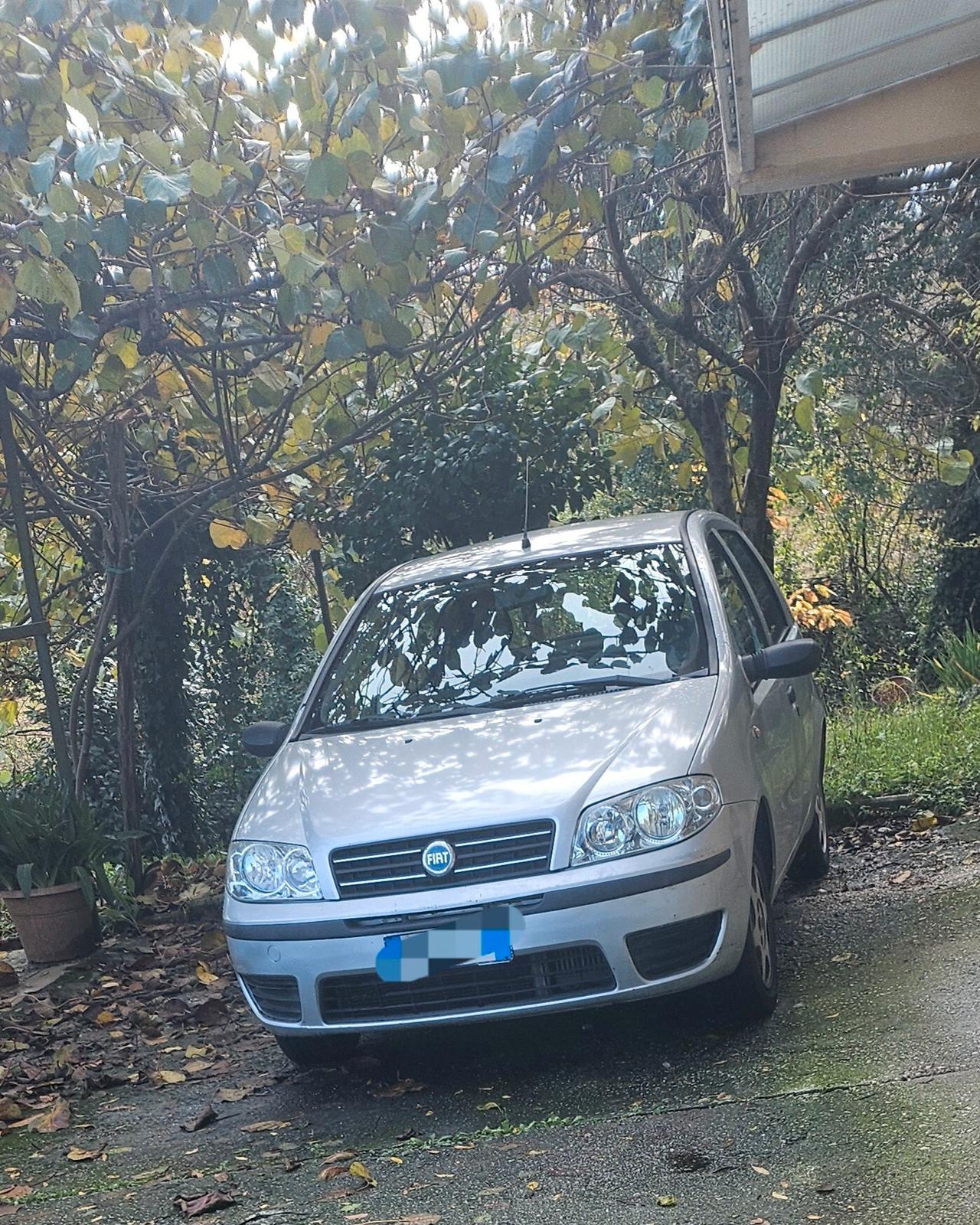 Fiat Punto 1.3 Multijet 70 cv NEOPATENTATI