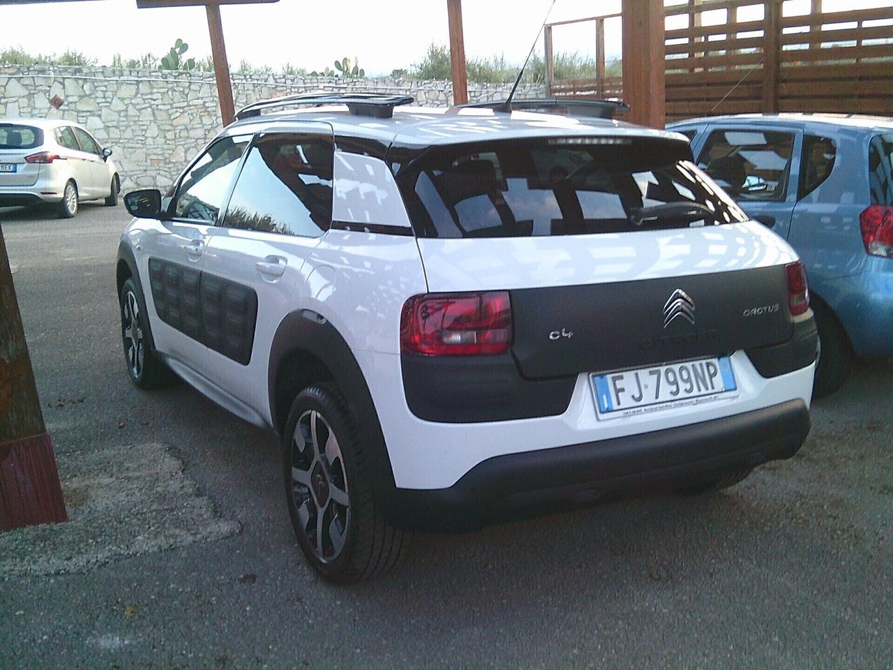 Citroen C4 Cactus BlueHDi 100 Shine