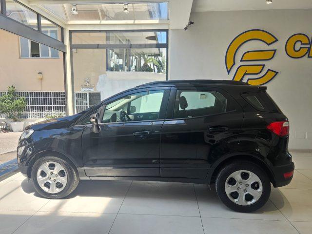 FORD EcoSport 1.5 TDCi 100 CV Start&Stop Business DA ?169,00