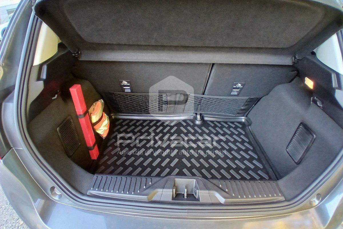 FORD Fiesta 1.5 EcoBlue 5 porte Titanium