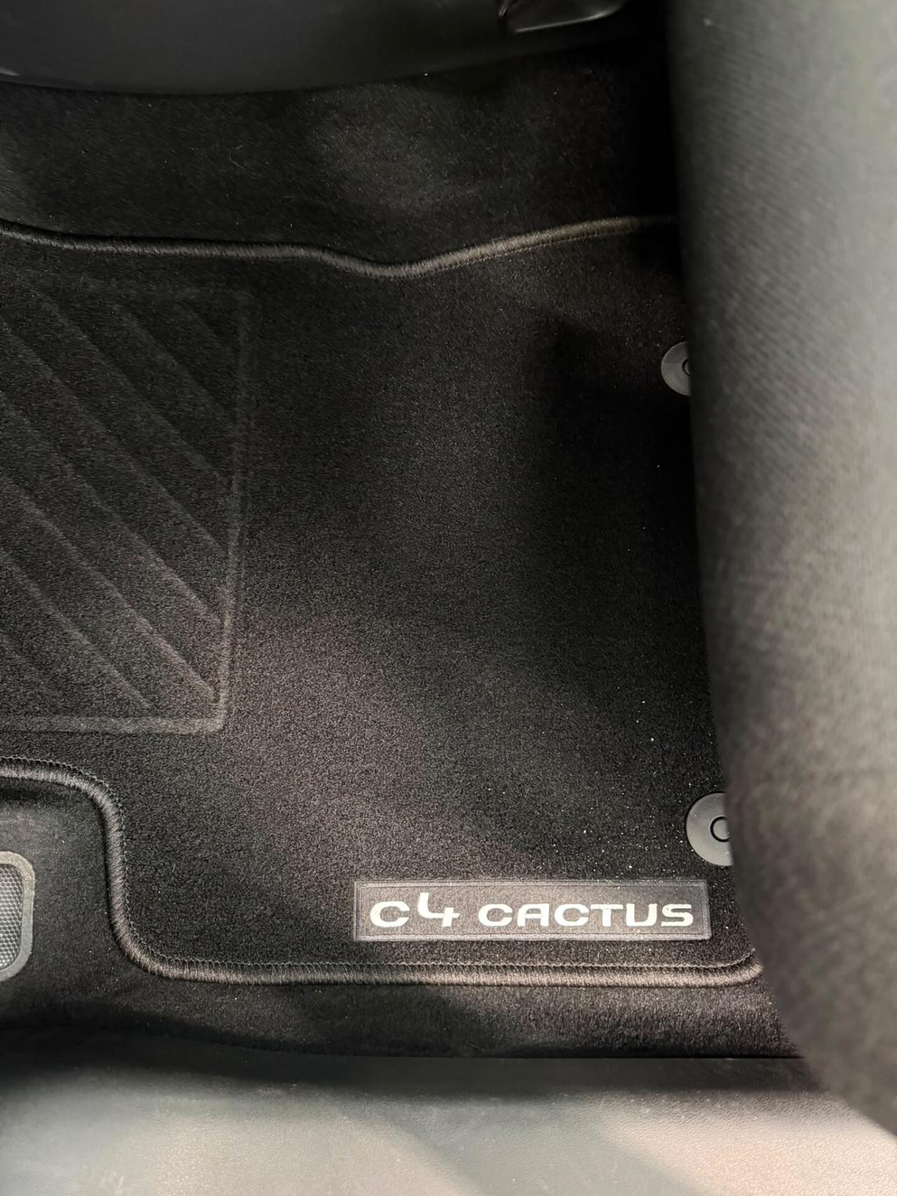Citroen C4 Cactus BlueHDi 100 S&S Shine