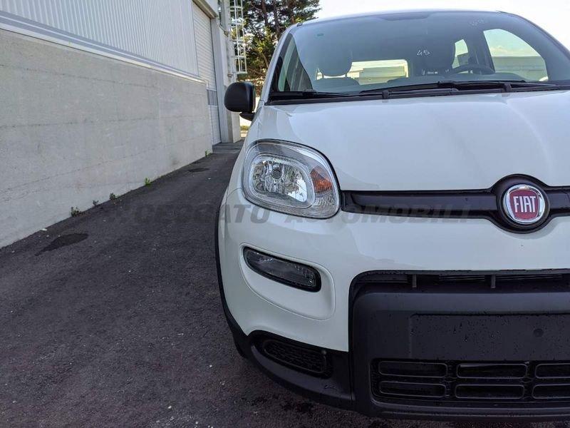 FIAT Panda My23 1.0 70cv Hybrid Panda