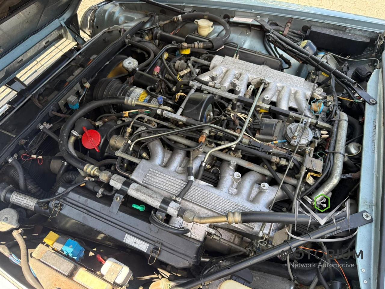 Jaguar XJS 5.3 275 cv Eleganza iconica, fascino senza tempo