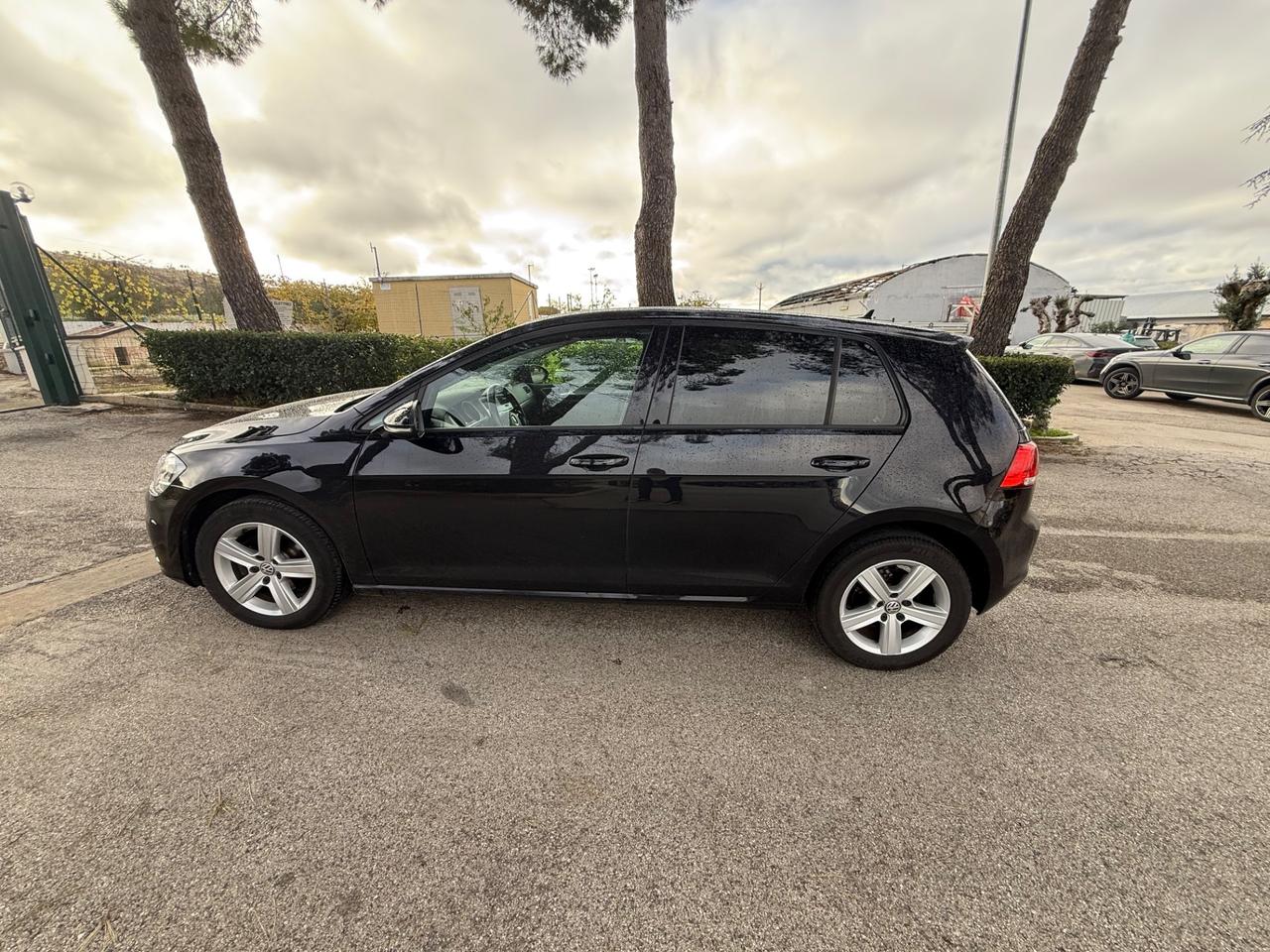 Volkswagen Golf Variant Business 1.6 TDI 105 CV Comfortline BMT