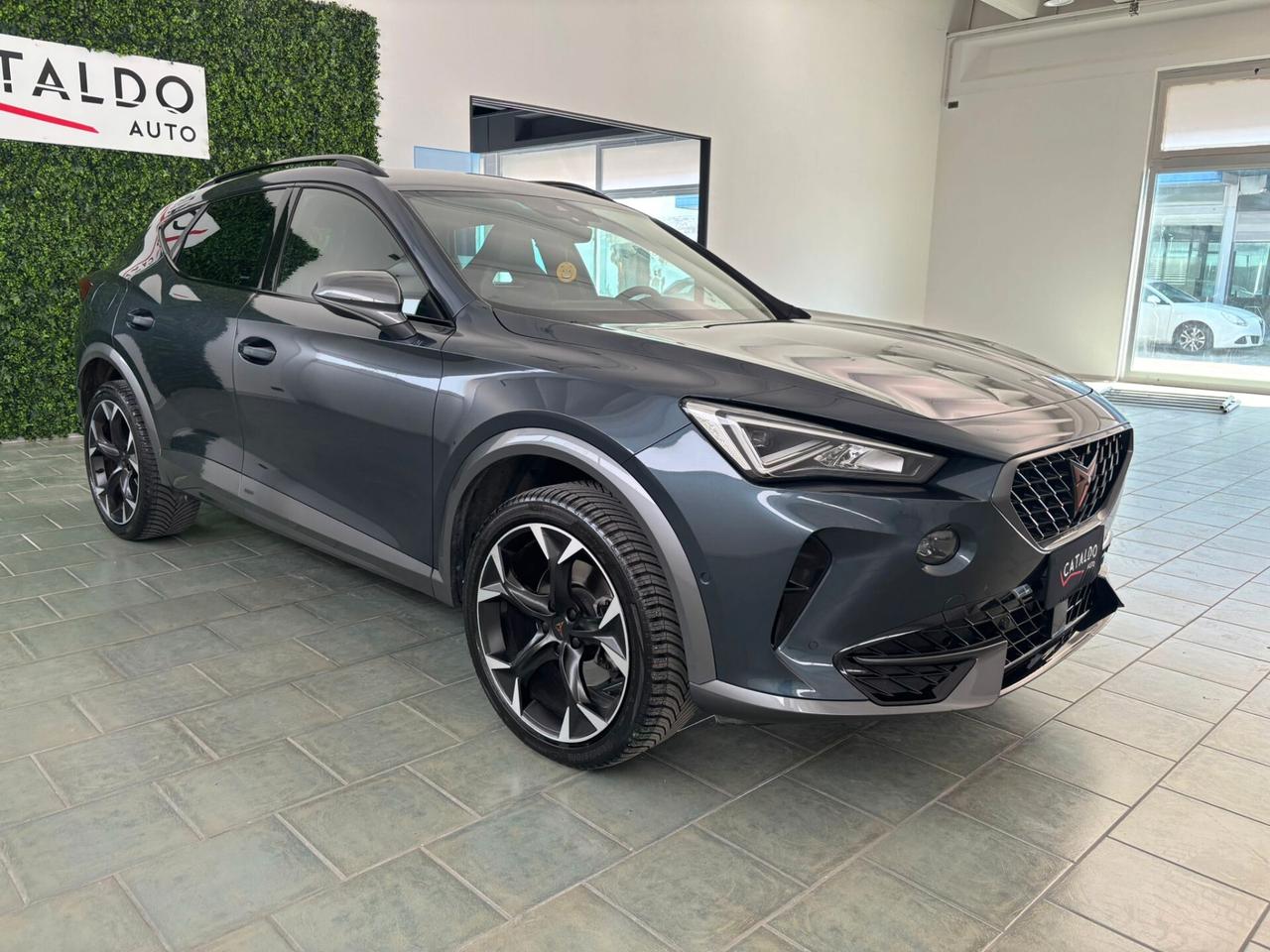 Cupra Formentor 2.0 TDI 4Drive DSG