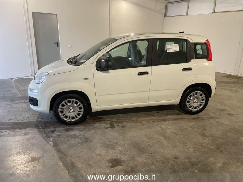 FIAT Panda 1.0 70cv Hybrid Panda