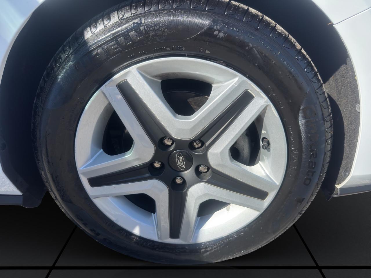 Ford Focus Wagon SW 1.5 ECOBLUE 120CV-LEED-CINGHIA APPENA FATTA-