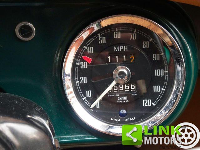 MG Other Midget
