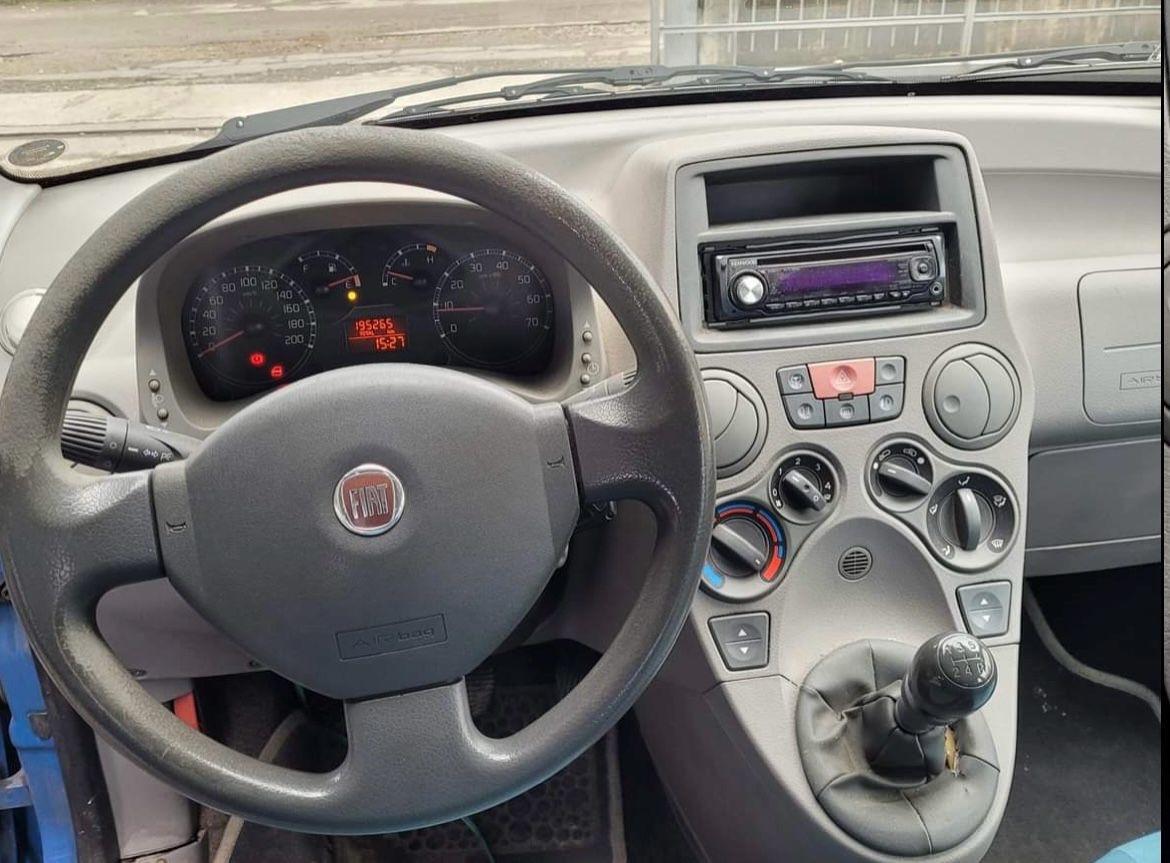 Fiat Panda 1100 i.e. cat Young