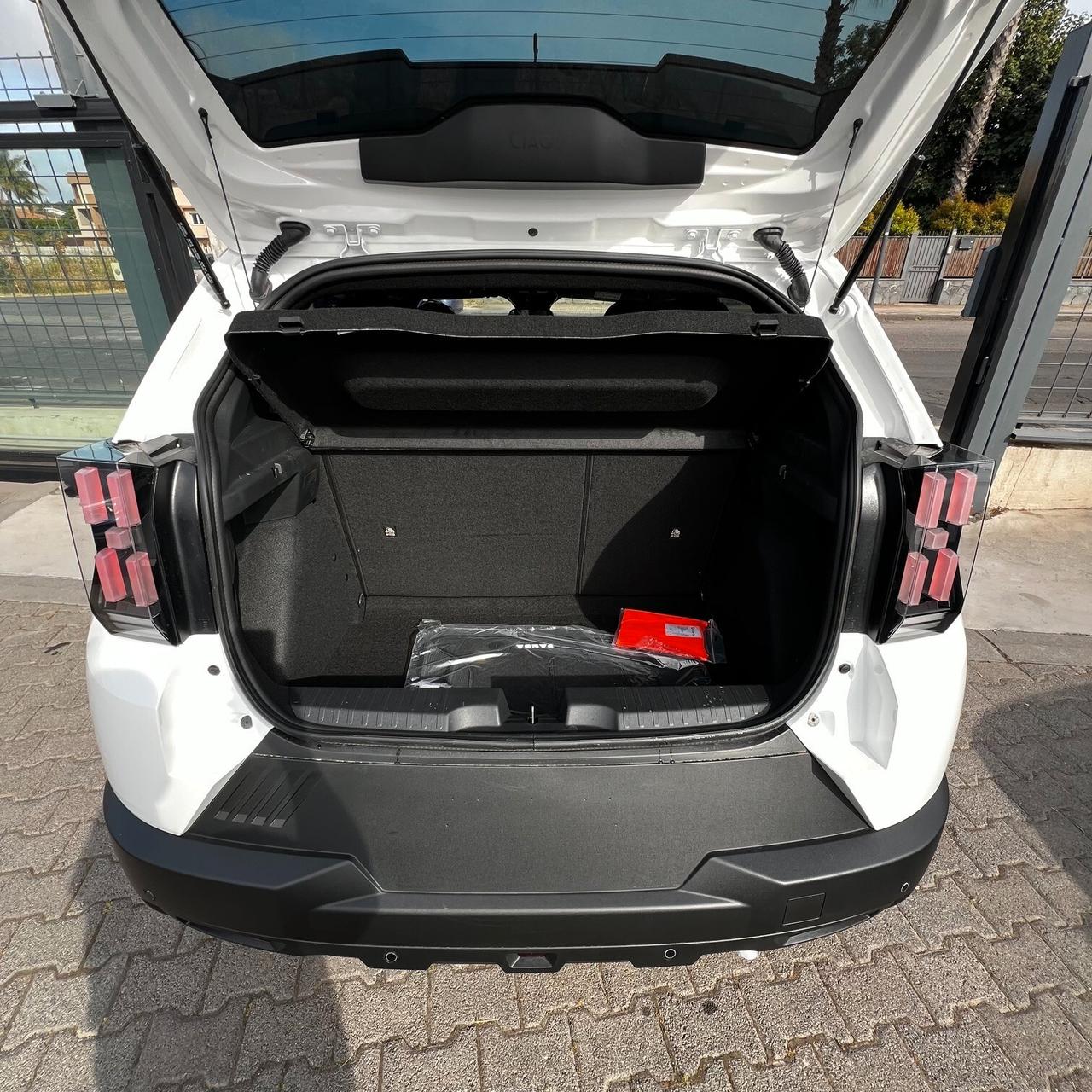 Fiat Grande Panda 1.2 100 CV S&S Icon