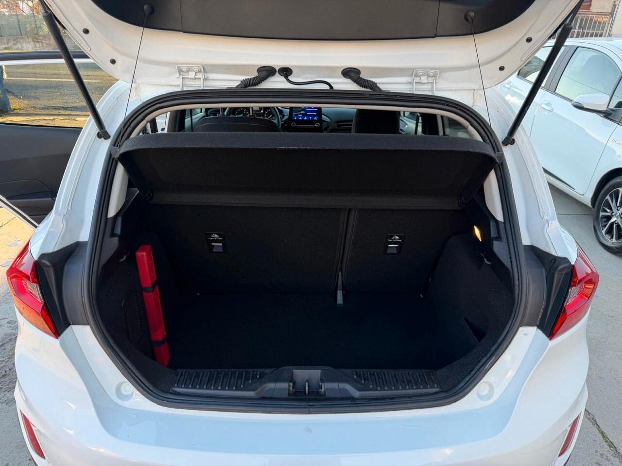 Ford Fiesta Active 1.0 Ecoboost 140 CV Start&Stop