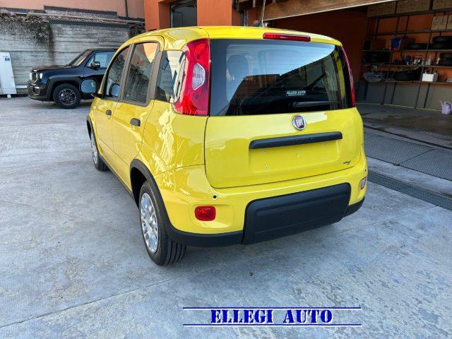 FIAT Panda FIN 1.0 70 cv Hybrid ADAS CON ROTTAMAZIONE