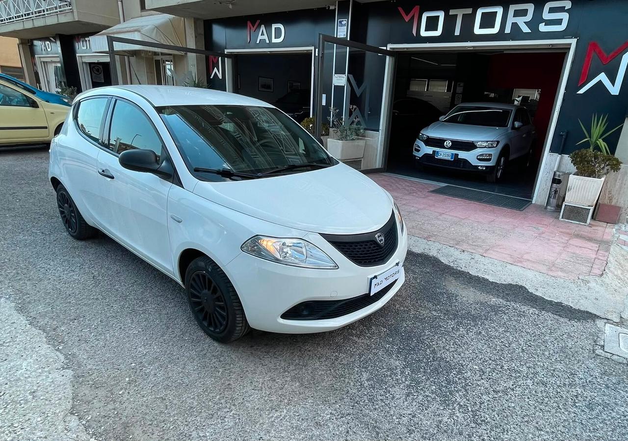 Lancia Ypsilon 1.2 69 CV 5 porte S&S Platinum