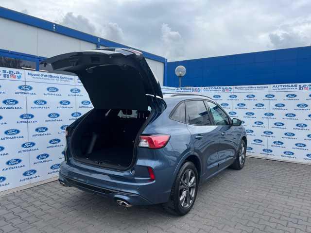 Ford Kuga 1.5 EcoBlue 120 CV 2WD ST-Line