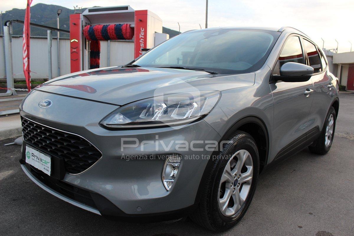 FORD Kuga 1.5 EcoBlue 120 CV 2WD Titanium Business