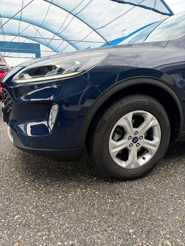 Ford Kuga Kuga 1.5 EcoBlue 120 CV 2WD Titanium Business
