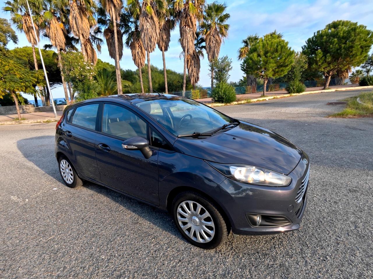 Ford Fiesta 1.0 80CV 5 porte Titanium