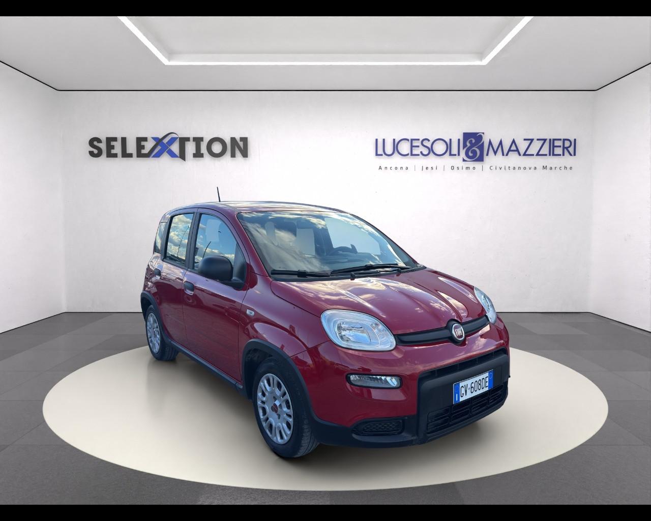 FIAT Panda My24 1.0 70cv Hybrid Panda