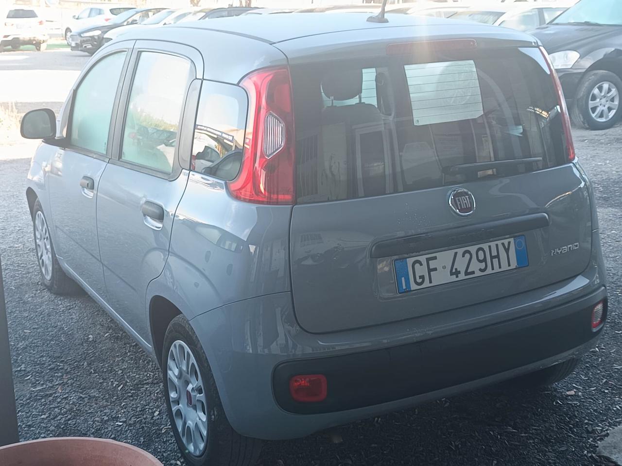 Fiat Panda 2021 - 1.0 FireFly S&S Hybrid Lb automobili