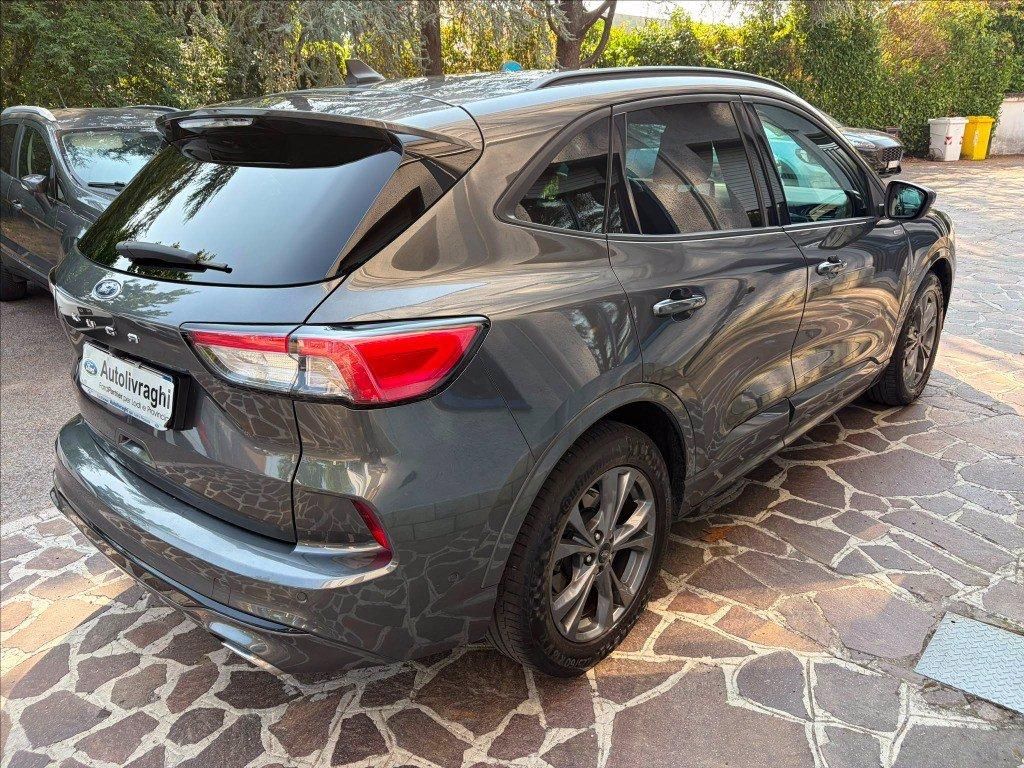 FORD Kuga 1.5 ecoblue ST-Line X 2wd 120cv auto del 2023
