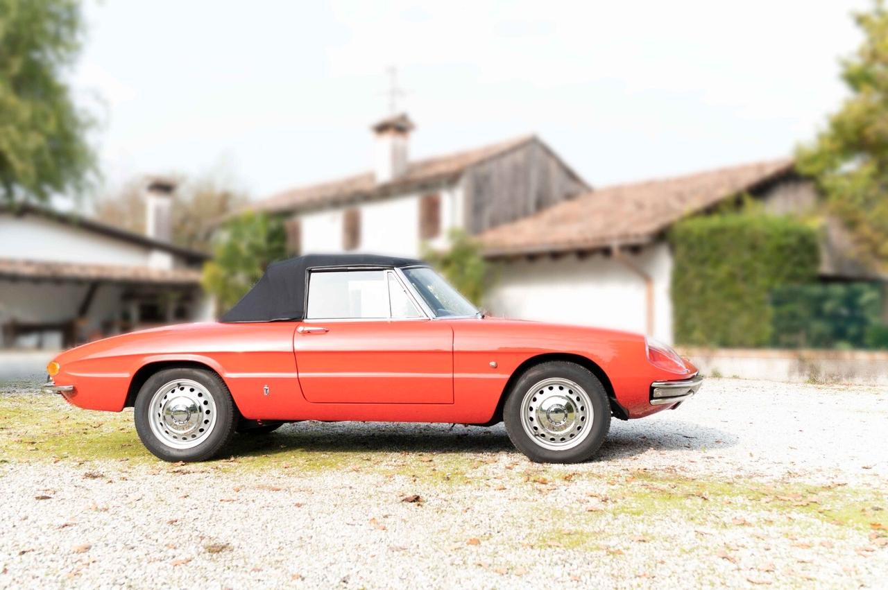 Alfa Romeo Spider 1.6 Osso di Seppia