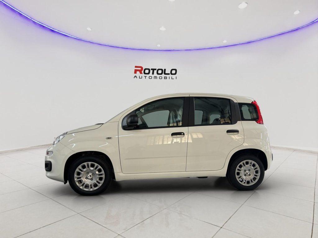 FIAT Panda 3ª serie Panda 1.0 FireFly S&S Hybr...