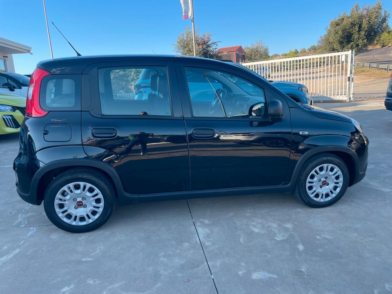 Fiat Panda 1.0 FireFly S&S Hybrid Km 15.000