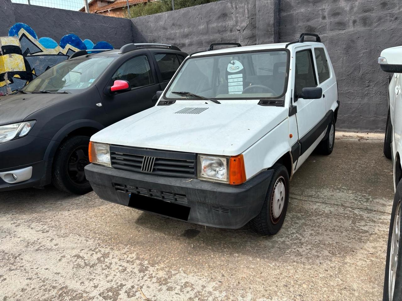 Fiat Panda 900 i.e. cat Young