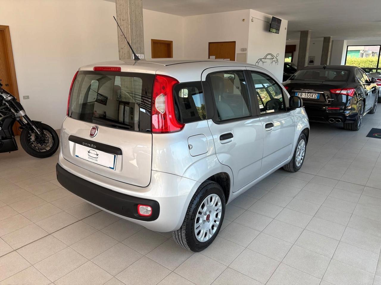 Fiat Panda 1.2 69CV (51kw) - UNICO PROPRIETARIO