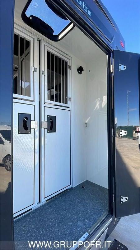 Renault Master RENAULT MASTER AMELINE 165 CV HARAS 5 POSTI NETTO IVA
