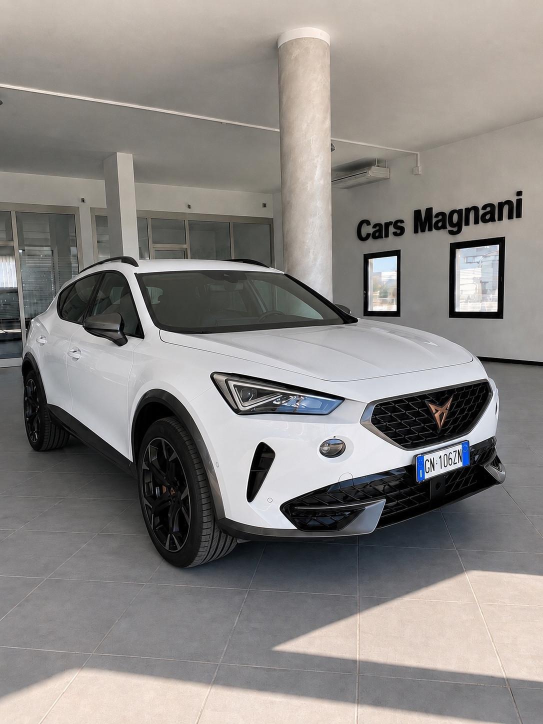 Cupra Formentor 2.0 TDI DSG