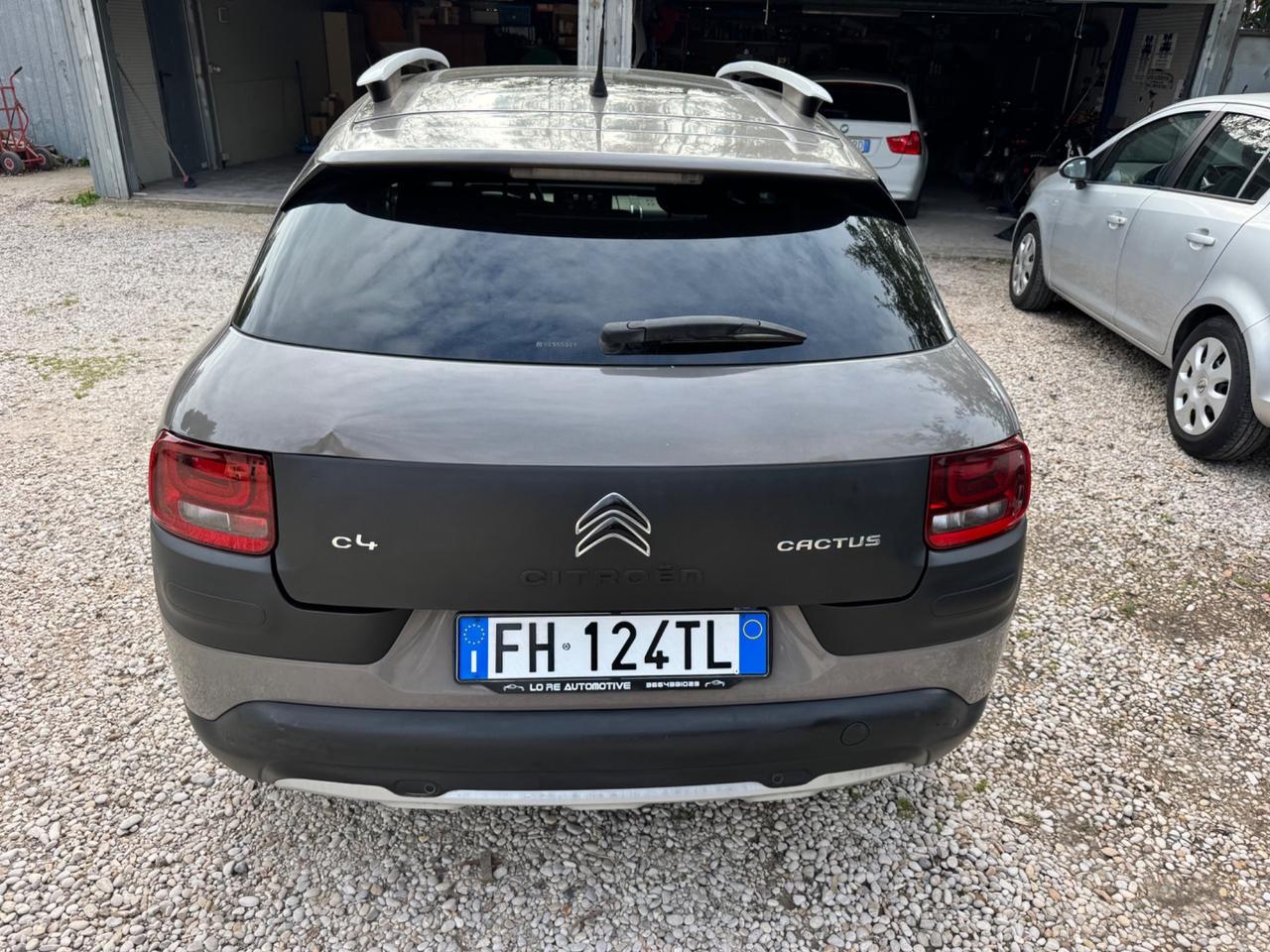 Citroen C4 Cactus BlueHDi 100 Rip Curl