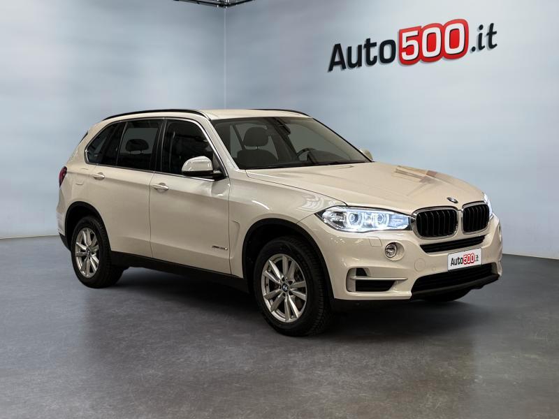 BMW X5 xdrive30d Business 258cv auto