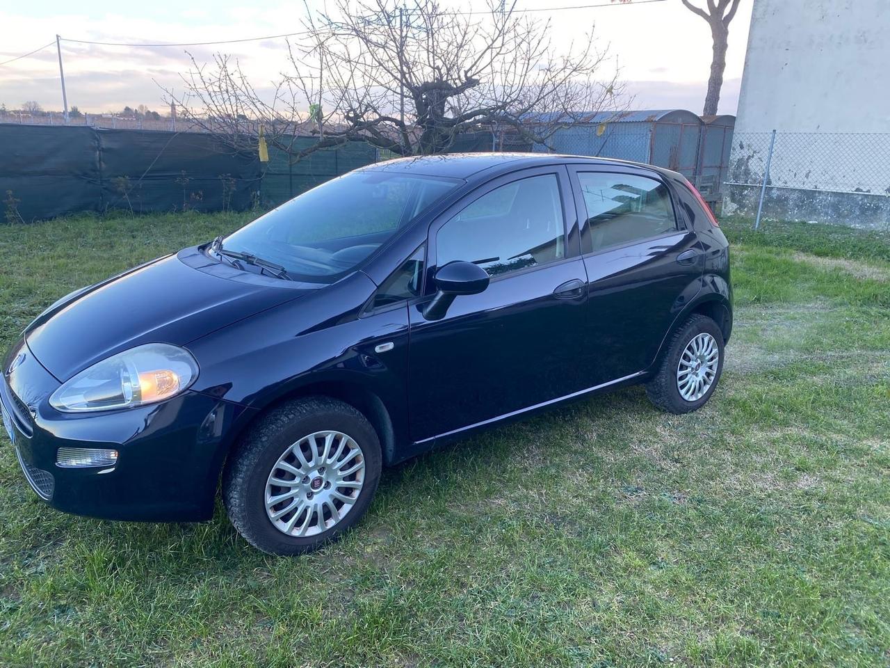 Fiat Punto 1.4 8V 5 porte Natural Power Lounge