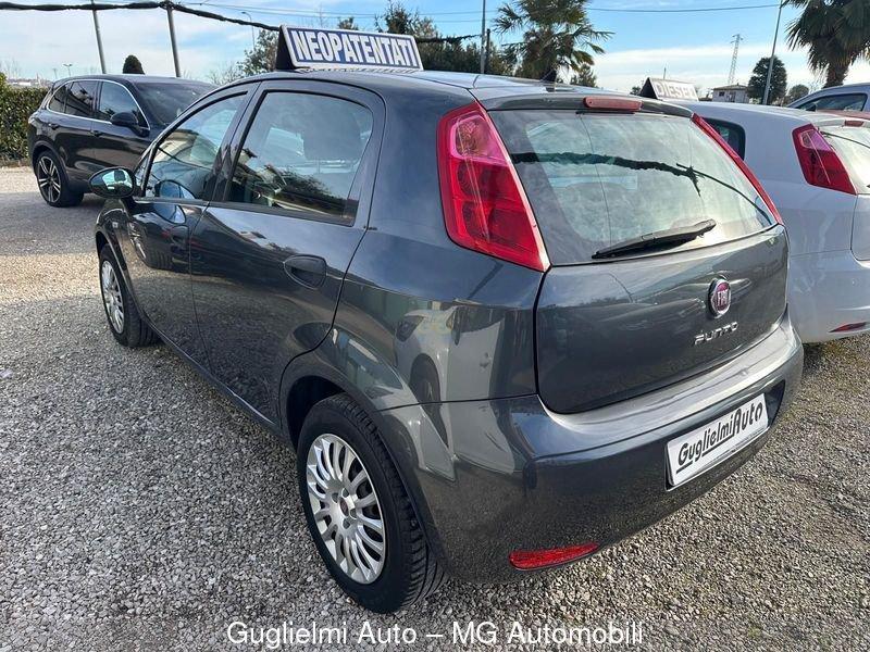 FIAT Punto Punto 1.2 8V 5 porte Street
