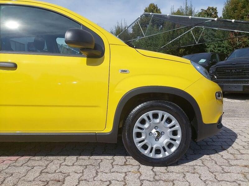 FIAT Panda 1.0 FireFly S&S Hybrid Pandina