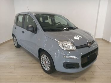 FIAT Panda 3ª serie 1.0 FireFly S&S Hybrid