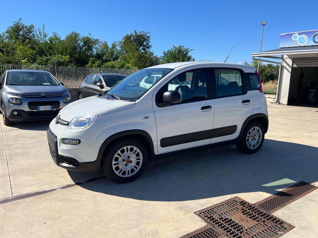 Fiat Panda 1.0 FireFly S&S Hybrid City Life