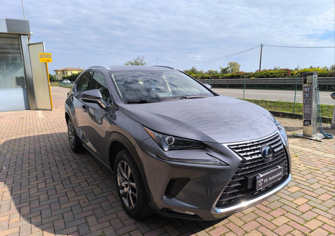 Lexus NX 300h Hybrid Business