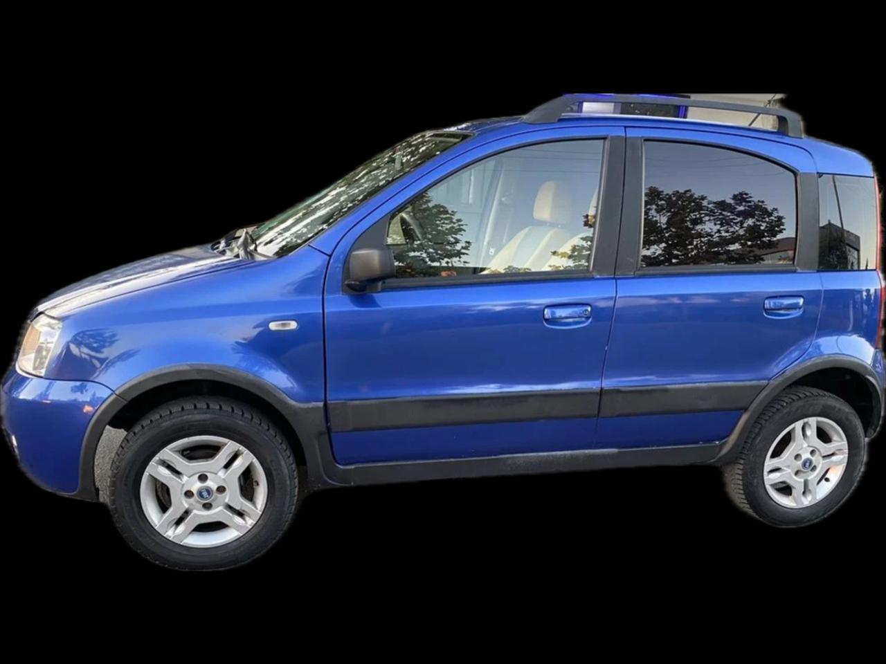 Fiat Panda 1.2 4x4 Ok neopatentati Perfetta