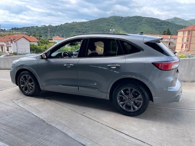Ford Kuga 1.5 EcoBlue 120 CV aut. 2WD ST-Line X