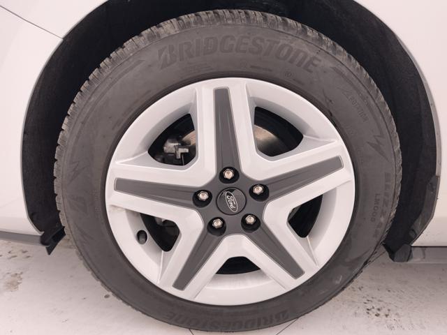 FORD Focus 1.5 ecoblue Business 120cv auto