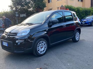 Fiat Panda 1.0 FireFly S&S Hybrid City Life 2024