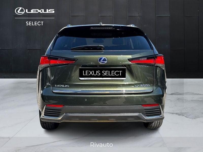Lexus NX 300 h 2.5 Premium 4wd cvt