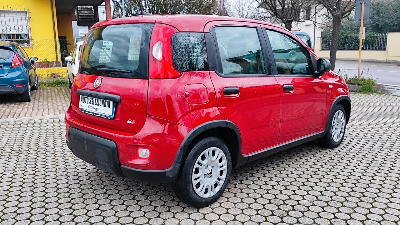 Fiat Panda 1.0 FireFly S&S Hybrid