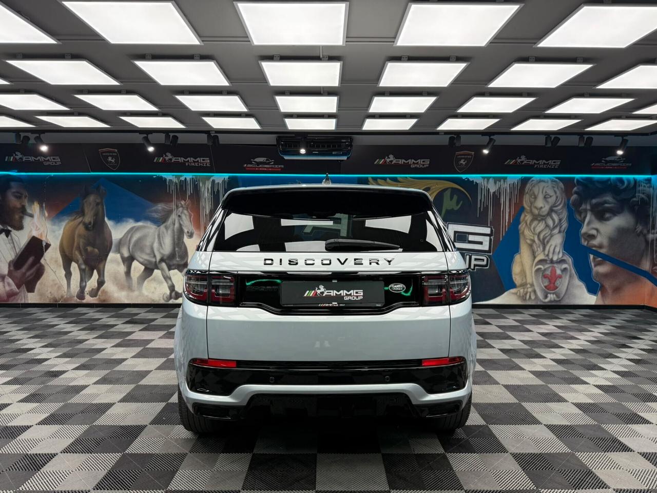 Land Rover Discovery Sport 2.0 TD4 163 CV AWD Auto R-Dynamic HSE (795)