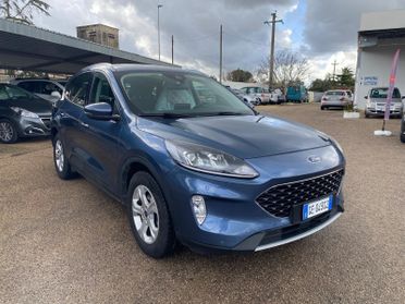 Ford Kuga 1.5 EcoBlue 120 CV