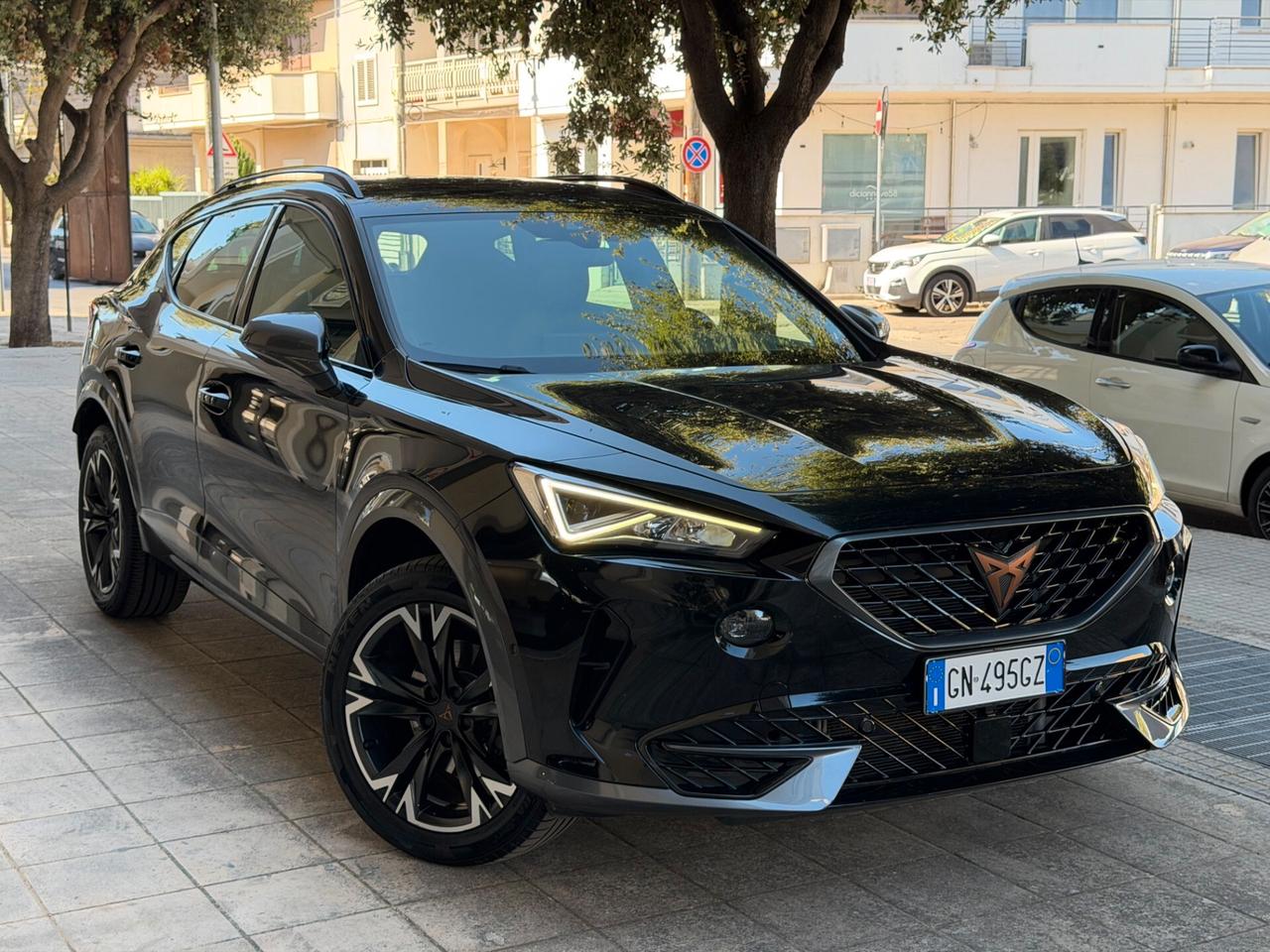 Cupra Formentor 2.0 TDI 4Drive DSG