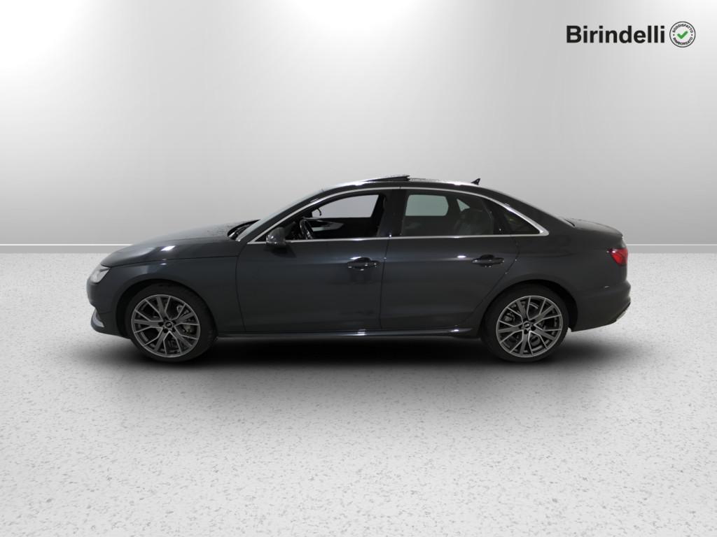 AUDI A4 5ª serie - A4 40 TDI quattro S tronic Business Advanced